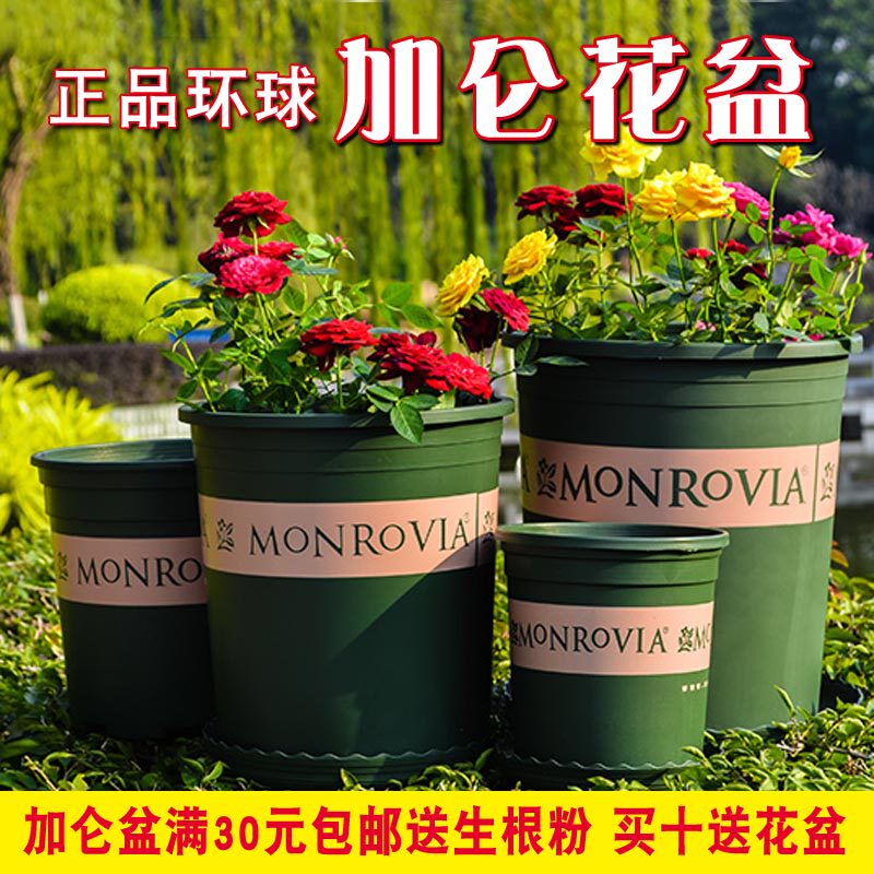 Global gallon pot thickened resin plastic round balcony planting flowers and vegetables green radish rose rose flower pot