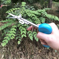 Tea picking dragon fruit sprouts pointed fruit tip tender picking machine New tool shears labor saving hand picking pepper special artifact