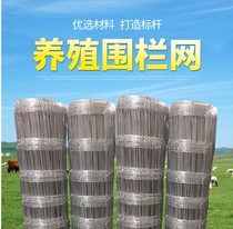 Protective Net anti-rust breeding net chicken iron mesh barbed wire mesh cattle and sheep fences