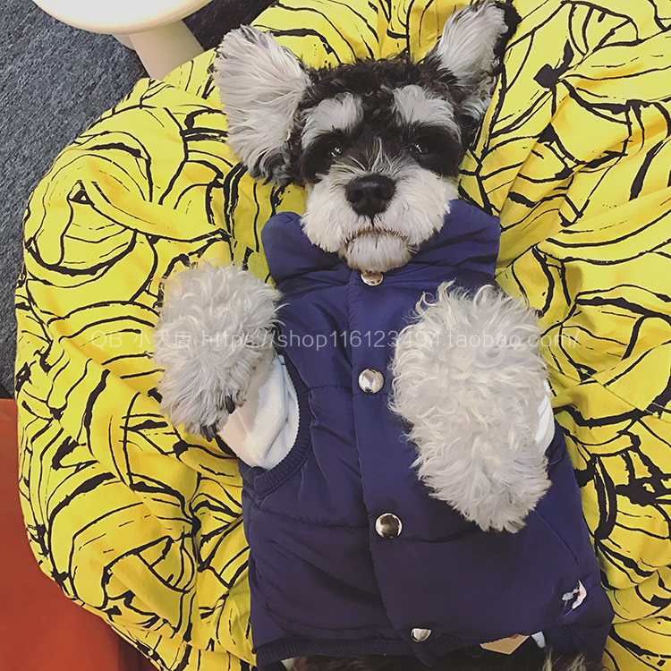 Snownery Tide Clothing Teddy Dogfight Dog Autumn Winter Cotton Clothes Pet Kitty Clothes Sleeveless Cotton Vest Waistcoat Waistcoat