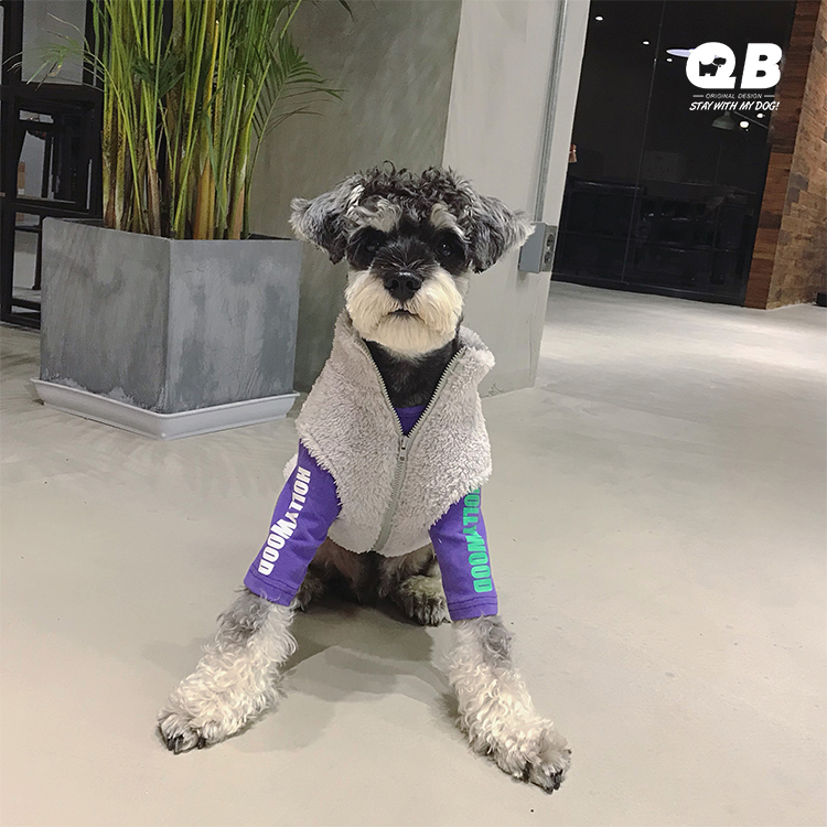 QB Tide Dog Clothes Laced Wool Sweater Snow Neri Teddy Beaume Pets Kitty Thickened Warm Autumn Winter Clothing