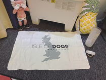 QB American Dog Island pet absorbent towel bath towel cat dog imitation deerskin towel absorbent towel