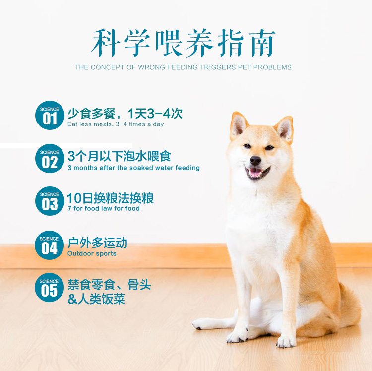 Thức ăn cho chó trả 10 con chó con Golden Retriever Luật Satsuma chiến đấu với chó Keji Shiaison chó cỡ lớn và trung bình loại 20 kg - Chó Staples thức ăn cho chó pug