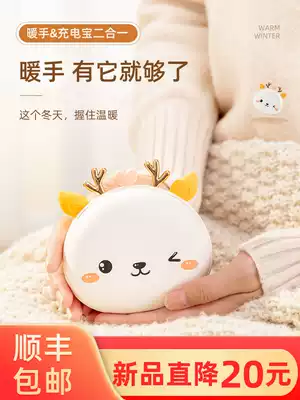 Handsome treasure Mobile rechargeable two-in-one dual-purpose hot water bag warm baby girl carry portable net red gift box