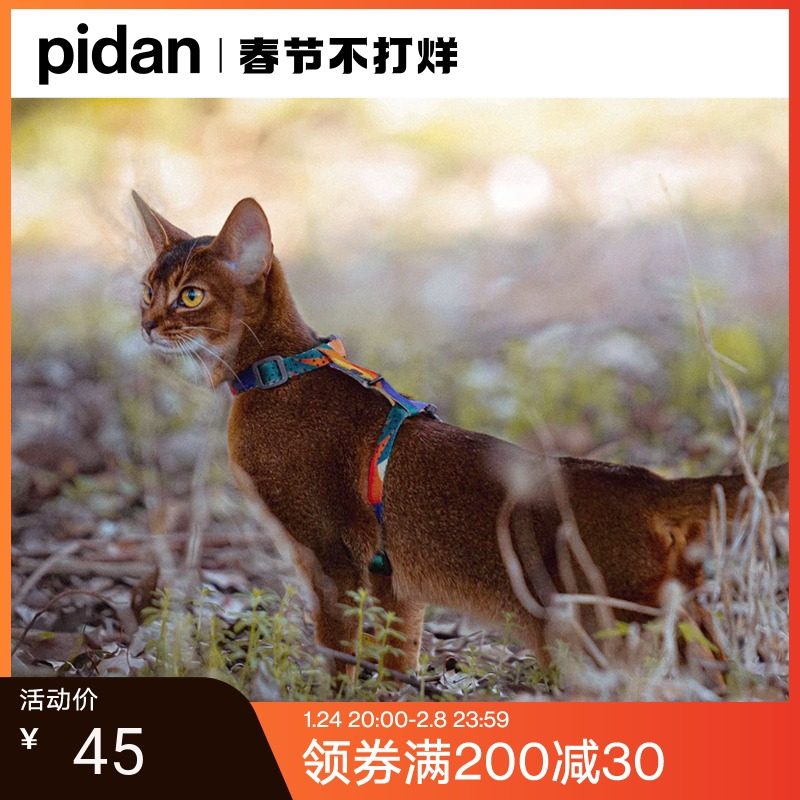 Pidan cat traction rope set cat H-shaped baby bag walking cat rope to prevent breaking away from cat chain pet supplies