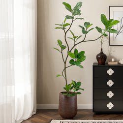 Bangladesh Banyan Artificial Green Plant Alpine Banyan Bionic Plant Floor-Standing Decoration Indoor Plant Potted Artificial Tree Ornaments