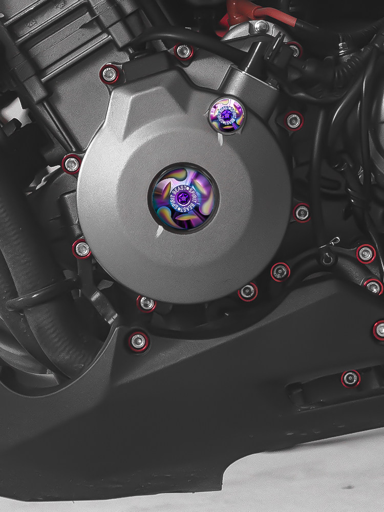 Yellow Dragon 300 Hurricane 302S Silver Steel Small Monster CB190 Retrofit Engine Magnetic Motor Decoration Cover Color Screws