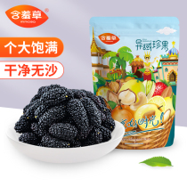 Mimosa mulberry dried black mulberry super soaked dried fruit Xinjiang large particles 2022 new official flagship store