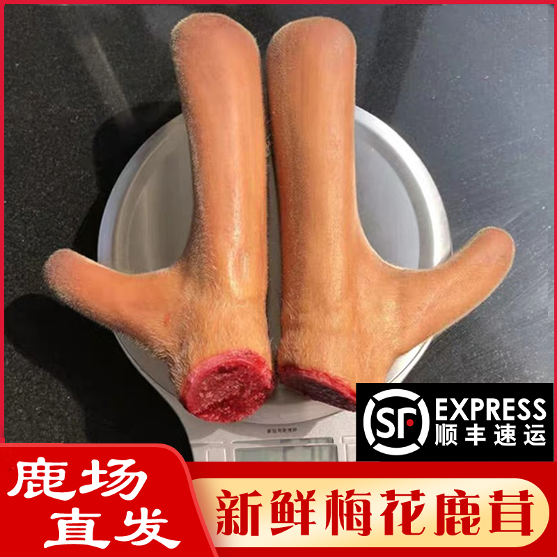 Fresh Antler Whole Branches Jilin Mayflower Deer Fresh Antler Slice Head Stubble Authentic Blood Slice Whole Gift Box Bubble Wine Stock