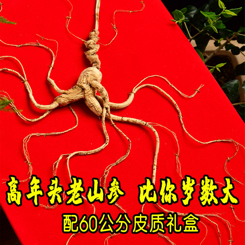 Ginseng Mountain Ginseng Long White Hills Ginseng Long White Mountain Wild Mountain Ginseng Long White Mountain Ginseng White Mountain Ginseng Gift Box Installed Northeast Man's Gift Box Dress