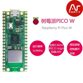 New Raspberry Pi Pico W New Wireless Wifi Raspberry Pi H Development Board Mciropython