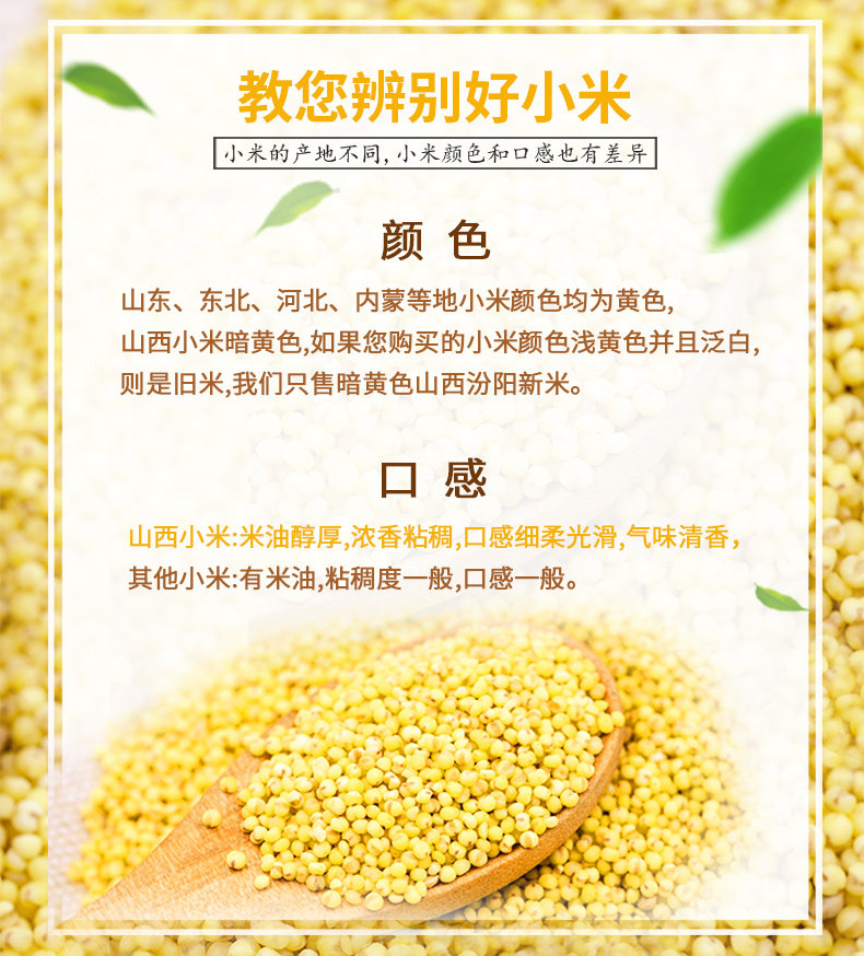 山西黃小米農(nóng)家雜糧粗糧米孕婦月子新米