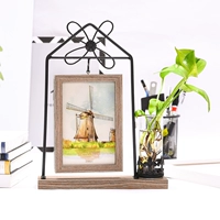 Висящая четырехлистная трава