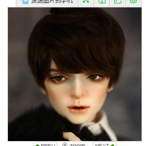 little monica bjd doll price