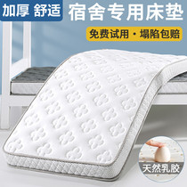 Student living on campus mattress dormitory thick university latex bed mat bunk bed school high school student dormitory