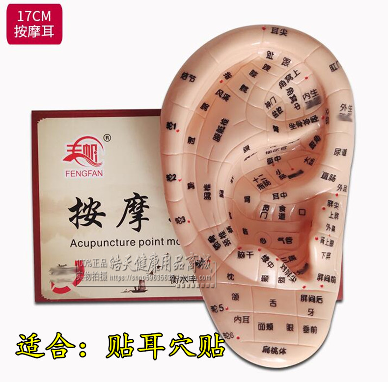 耳穴贴 耳朵模型 耳穴探针 耳豆贴 耳贴压豆 压王不留行籽贴 耳贴