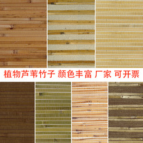 Reed mat wall decoration ceiling top with straw wallpaper natural plant Reed sheet woven wall wallpaper