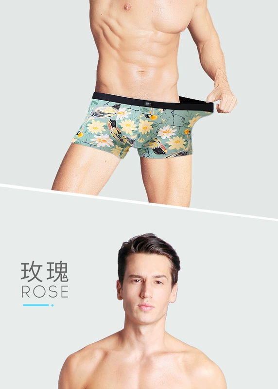 Nam Cực đồ lót nam boxer cotton gợi cảm in lụa băng modal mùa hè boxer đầu hộp quà tặng - Bộ quà tặng