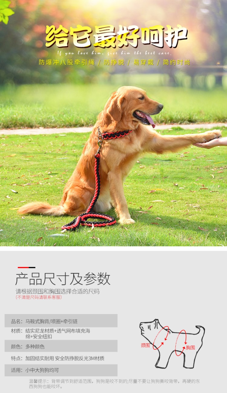 大狗狗牽引繩帶遛狗繩子中型大型犬項圈拉布拉多狗帶拴狗鍊子 露天拍賣