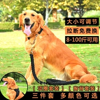 Dog dây kéo dây kéo chó dây xích nhà vật nuôi dây kéo mèo và chó cần thiết hàng ngày Teddy dây cổ áo 	bát ăn cho chó poodle	