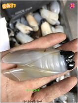 Hot antique taste Miscellaneous antique jade sculpture cicada high - ancient jade hanging collection is a surprising piece