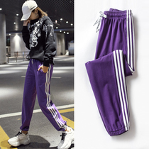 Three bars purple pants spring and autumn students loose Korean version of thin casual cotton toe sports pants womens bloomers