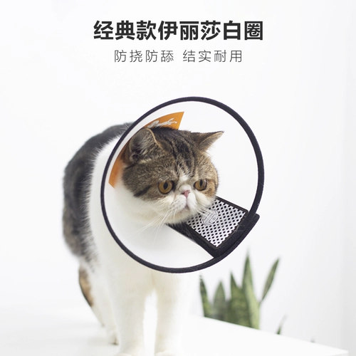 Классическая Элизабет Круг Кэт -Кэпки Капс собак, укус, борьба, поглощение поглощения, стыд линг -кружок держатели домашних животных