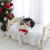 Кошка и собака Рождественская звезда Звезда рождественская елка питомец