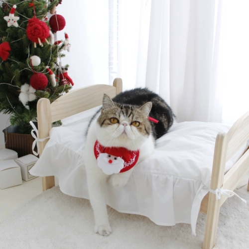 Кошка и собака Рождественская звезда Звезда рождественская елка питомец