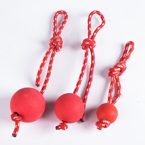 Игрушка для любимой собаки, укус -устойчивый