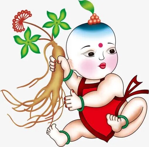 参斛健康滋补