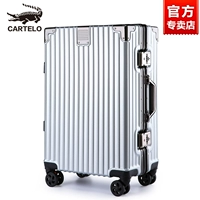 Вместительный и большой универсальный чемодан, 26 дюймов