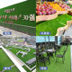 ຜ້າພົມ turf ທຽມ mat plastic simulated turf mat fake outdoor roof artificial ຊັ້ນອະນຸບານຕົບແຕ່ງ insulation