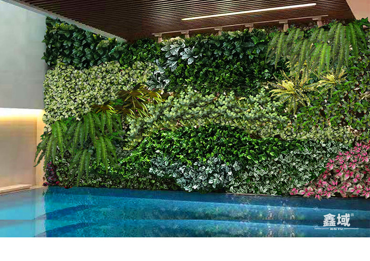 Nhà máy mô phỏng tường cây xanh tường giả cây trang trí tường cửa hàng hình ảnh tường cỏ nền tường giả hoa tường màu xanh lá cây tường - Hoa nhân tạo / Cây / Trái cây cây xương rồng giả