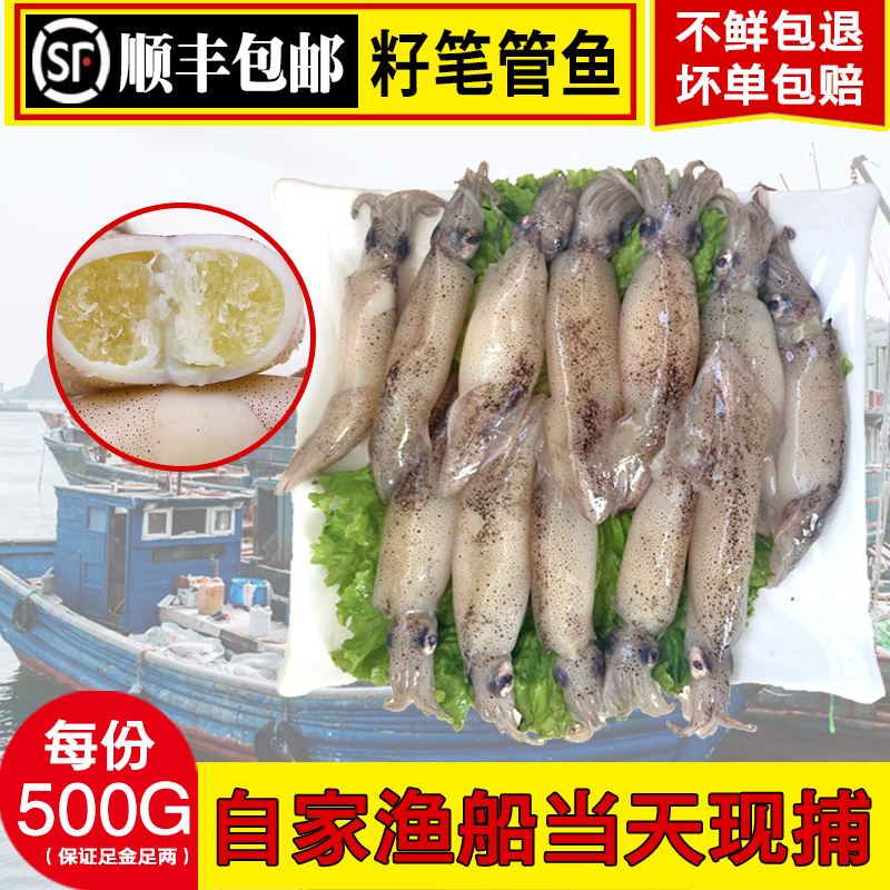 Sea Rabbit Alive Sea Rabbit full seed Pen Tube Fish Fresh With Seeds Small Sea Rabbit Seafood Aquatic Squid Octopus Octopus Octopus