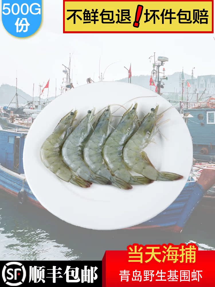 Shrimp fresh frozen seafood Aquatic base shrimp live shrimp shrimp shrimp ice shrimp sea shrimp Qingdao fresh super large wild shrimp