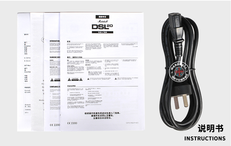 Loa chính hãng Marshall MARSHALL đầy đủ ống loa DSL20CR Reverb ngựa muỗng âm thanh guitar điện - Loa loa loa tronsmart