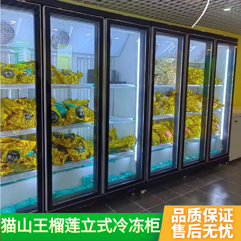 Vertical Freezer Musang King Durian Low Temperature Display Freezer Frozen Meat Frozen Products Double Door Freezer Commercial Refrigerator