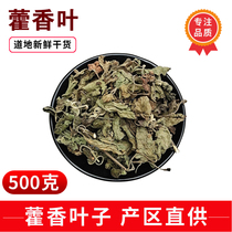 Pure Huoxiang leaves Patchouli leaves dry goods 500g Chinese herbal medicine bulk dry raw and wild Huoxiang tea also Perrin