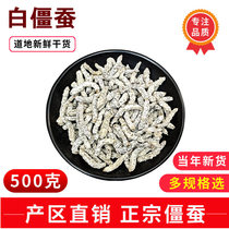 White stiff silkworm 500g-50g Chinese herbal medicine Stiff Silkworm White Stiff Silkworm Powder White Stiff Worm and Ginger Silkworm Ginger Worm non-fried Stiff Silkworm