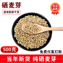 Selenium malt 500g natural malt selenium Chinese herbal medicine bulk dried selenium malt powder tea with schisandra