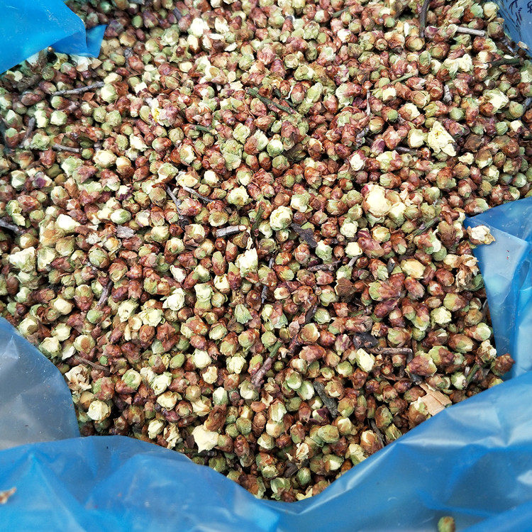 50g white plum blossom green plum blossom tea green calyx plum blossom tea authentic Chinese herbal medicine green plum natural herbal tea