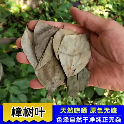 Dried camphor tree leaves 500 grams Camphor leaf natural Chinese herbal medicine shop Camphor tree leaves Herbal medicine can grind camphor leaf powder