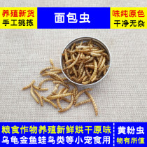 Yellow Pink Worm Live Worm Drying Bread Worm Species Worm Seed Dry Turtle Dragon Fish Parrot Hamster Pet Feed Bird Food