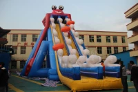 Волосатый крабовый слайд дизайн