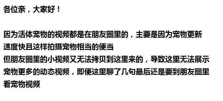 Другие 出售家养可爱粘人其它宠物品种齐全76