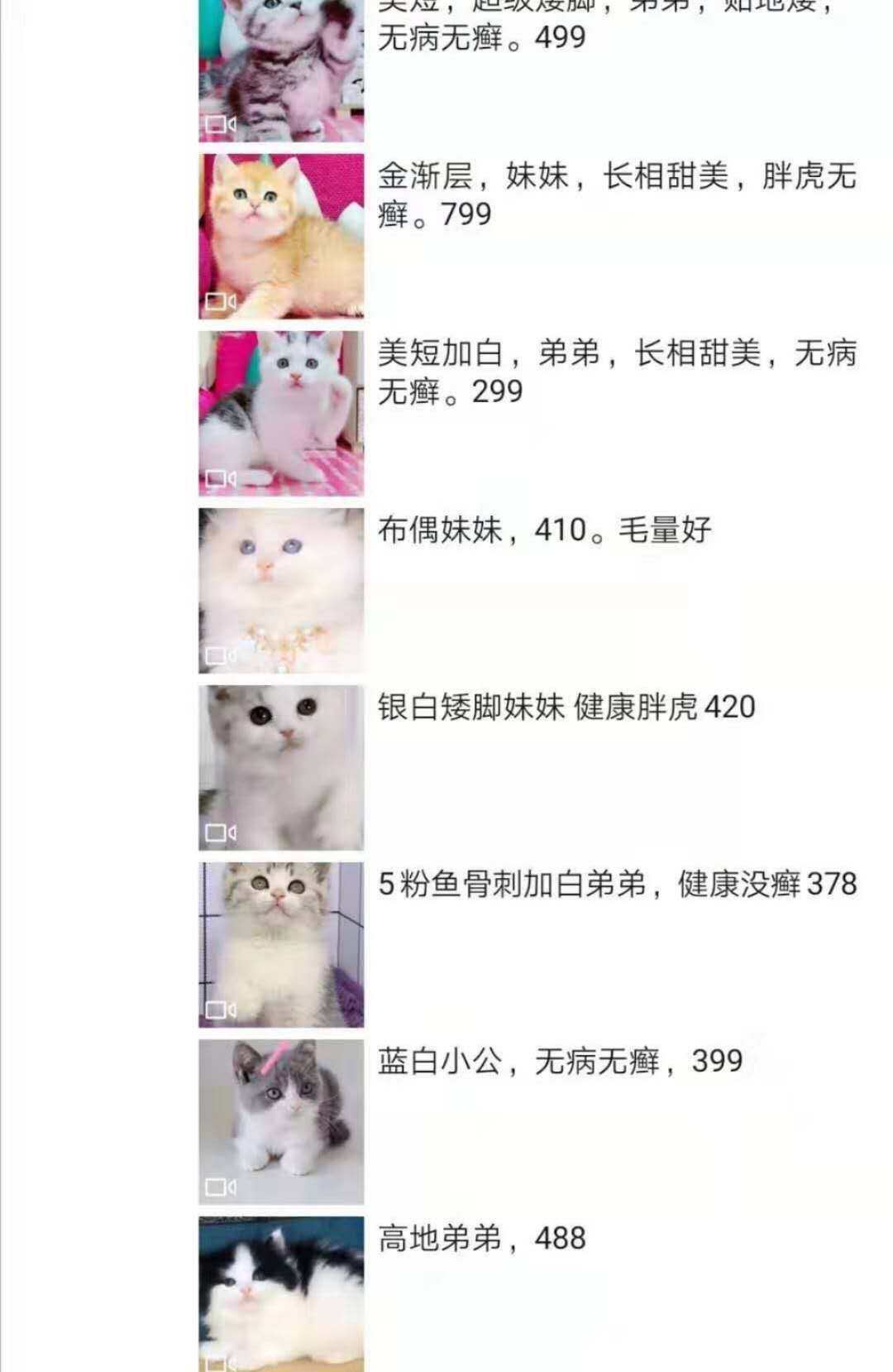 Другие 出售家养可爱粘人其它宠物品种齐全113