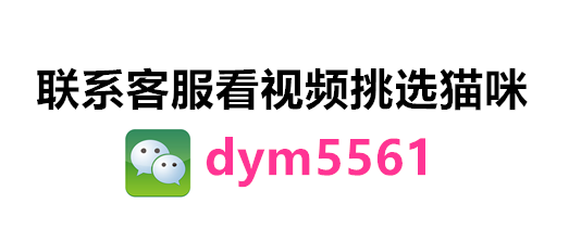 Другие 出售家养可爱粘人其它宠物品种齐全113