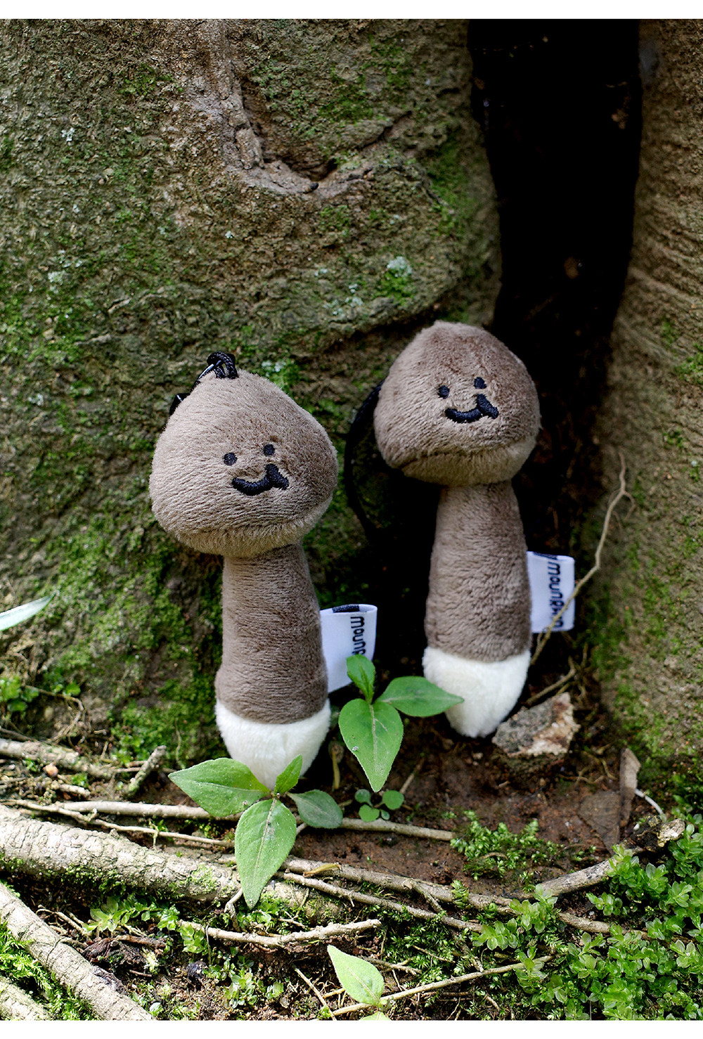  mushroom　きのこ　マッシュルーム　キノコ　ぬいぐるみ mushroom きのこ マッシュルーム キノコ ぬいぐるみ 楽天市場】【正規