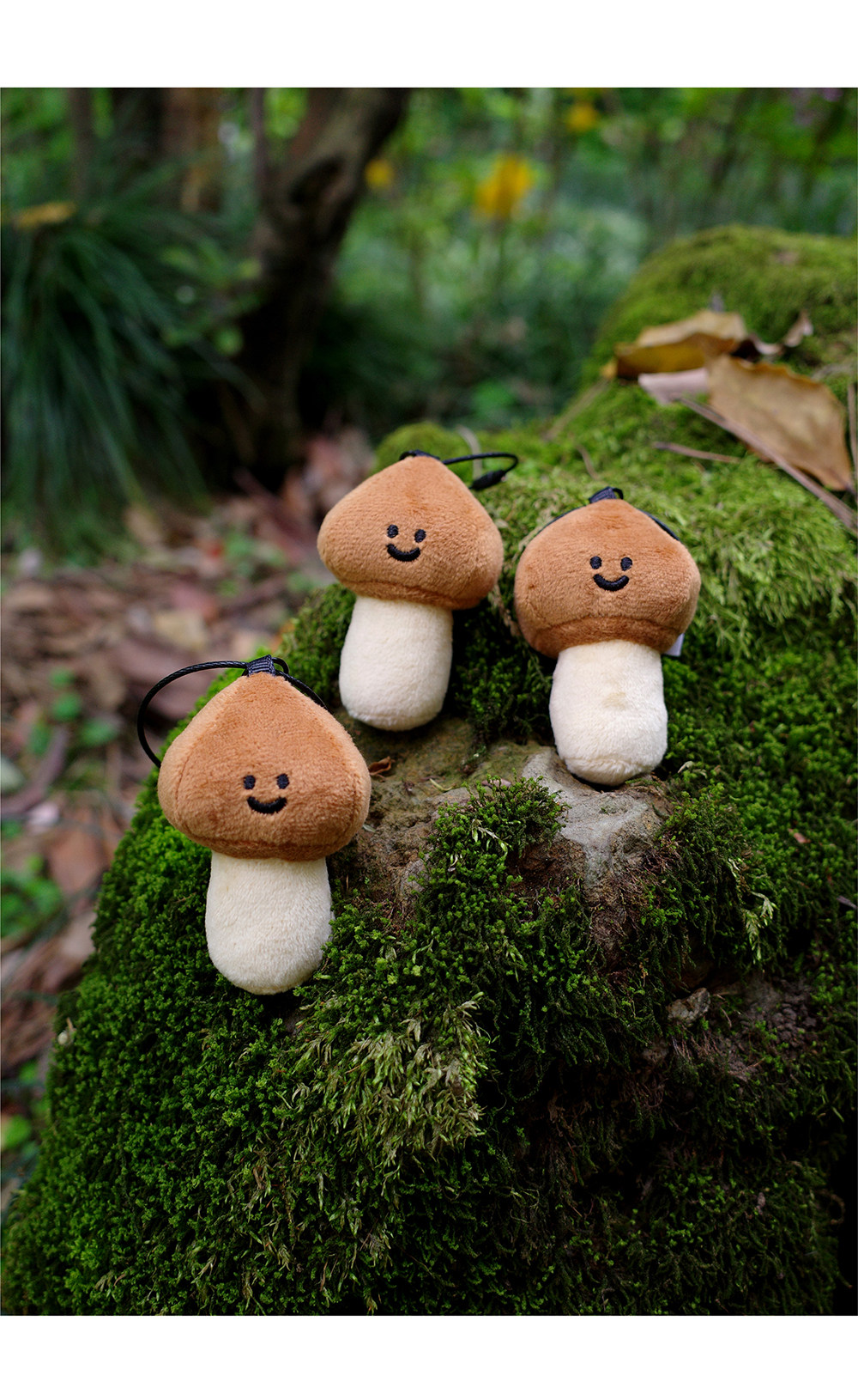 O1CN01iz6wam1YOUR4MMGCn_!!